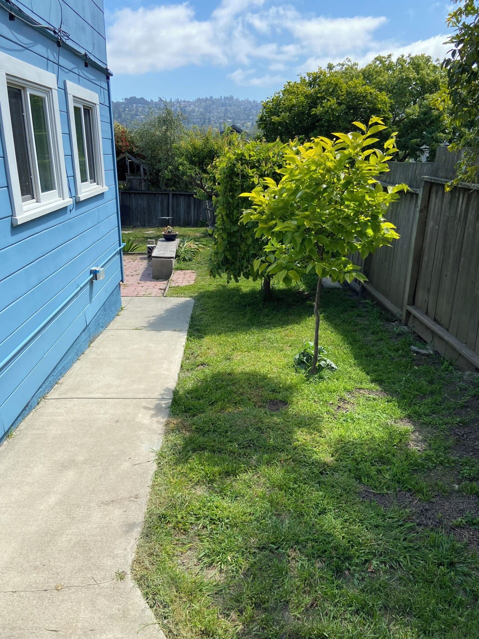 Property grounds