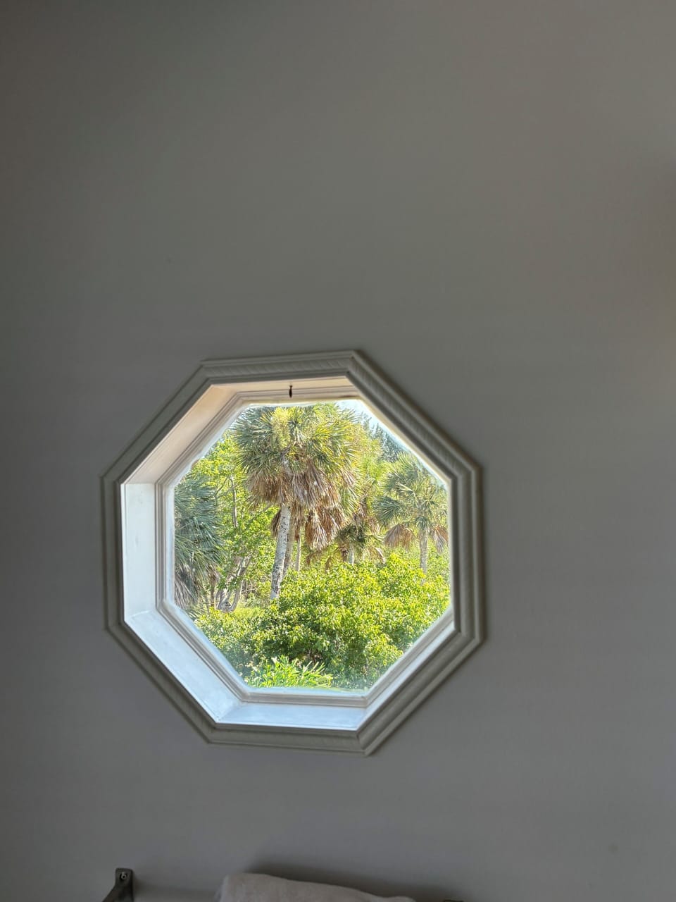 View from the tub