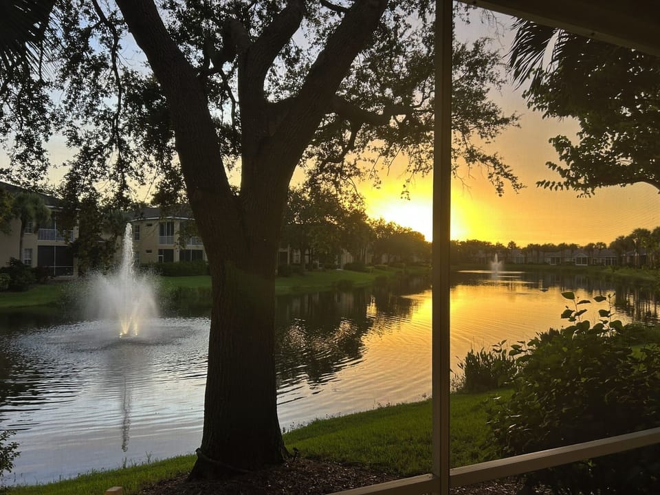 View from property