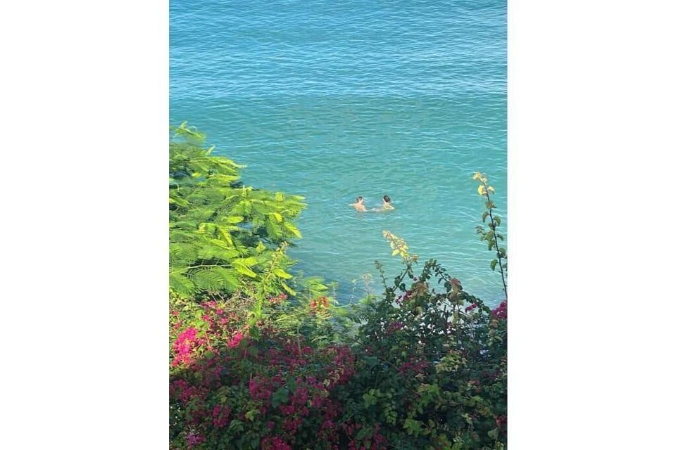 Lookout deck view