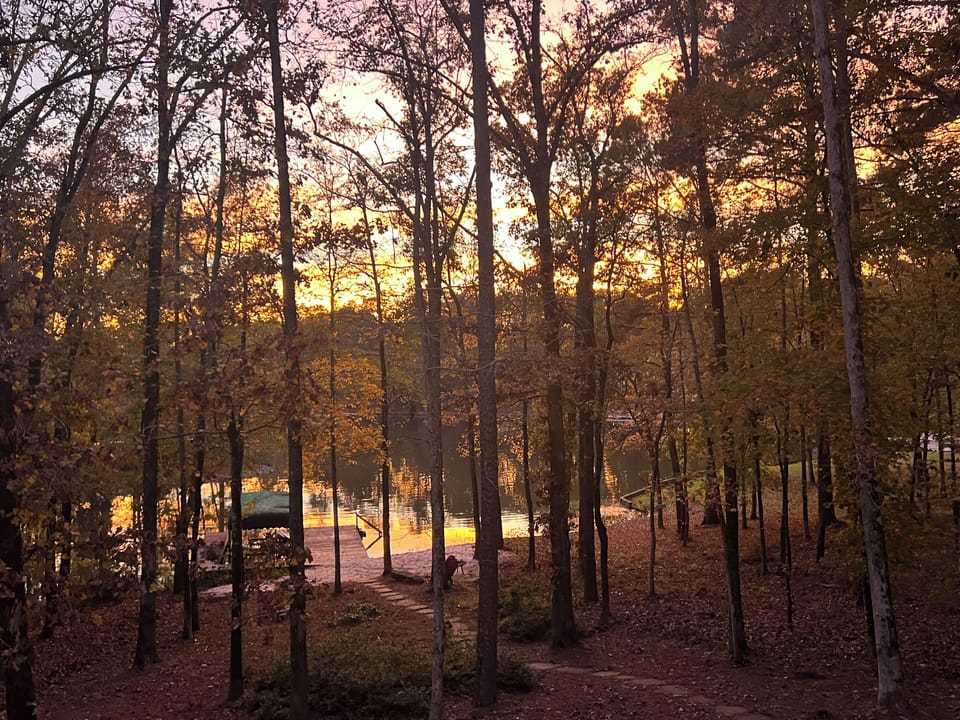 View from back porch