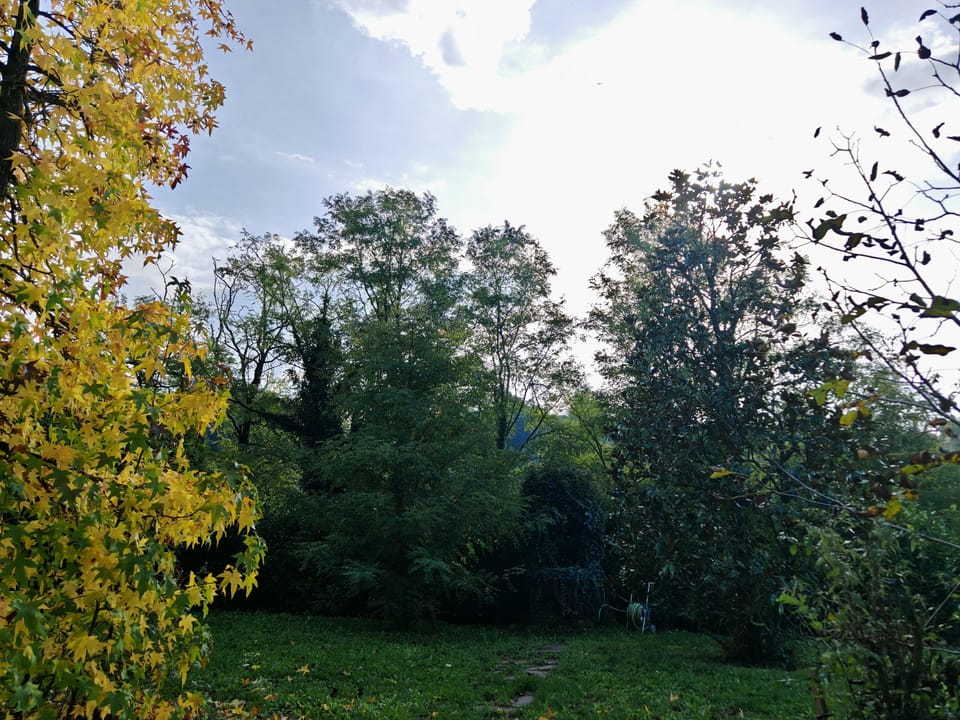Miscellaneous