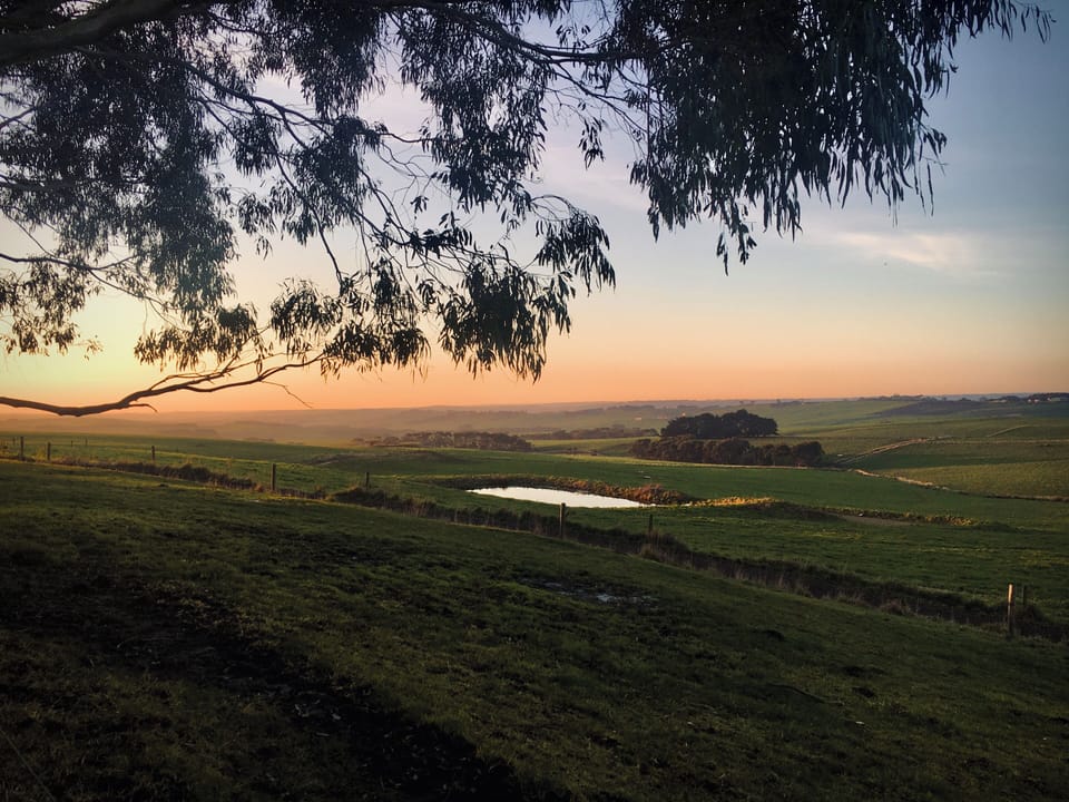 Sunset in the valley  