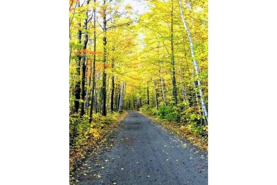 Quad trail