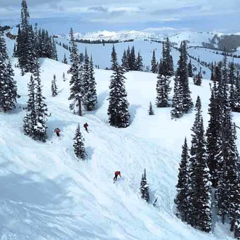 Snow and ski sports