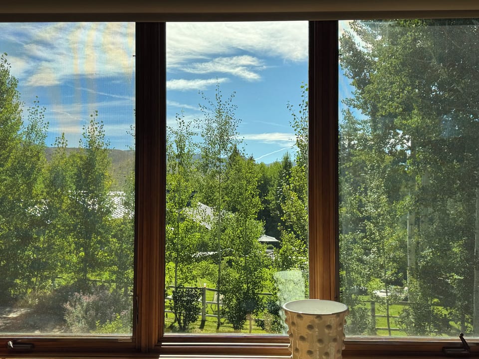 Dollar Mountain View