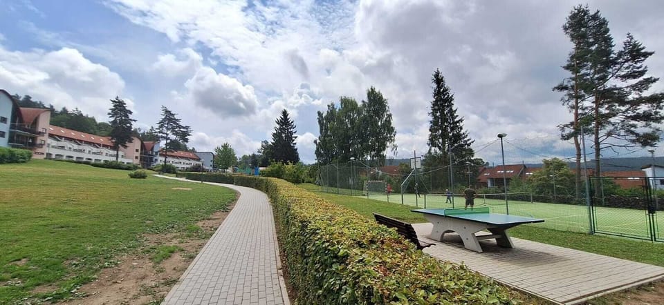 Sport court