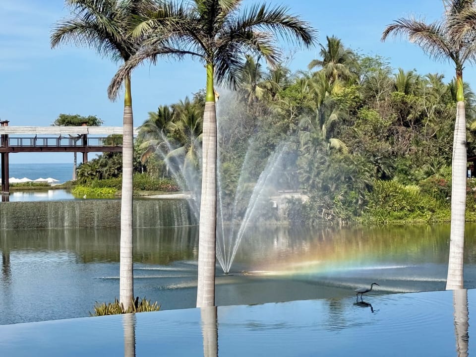 View from property