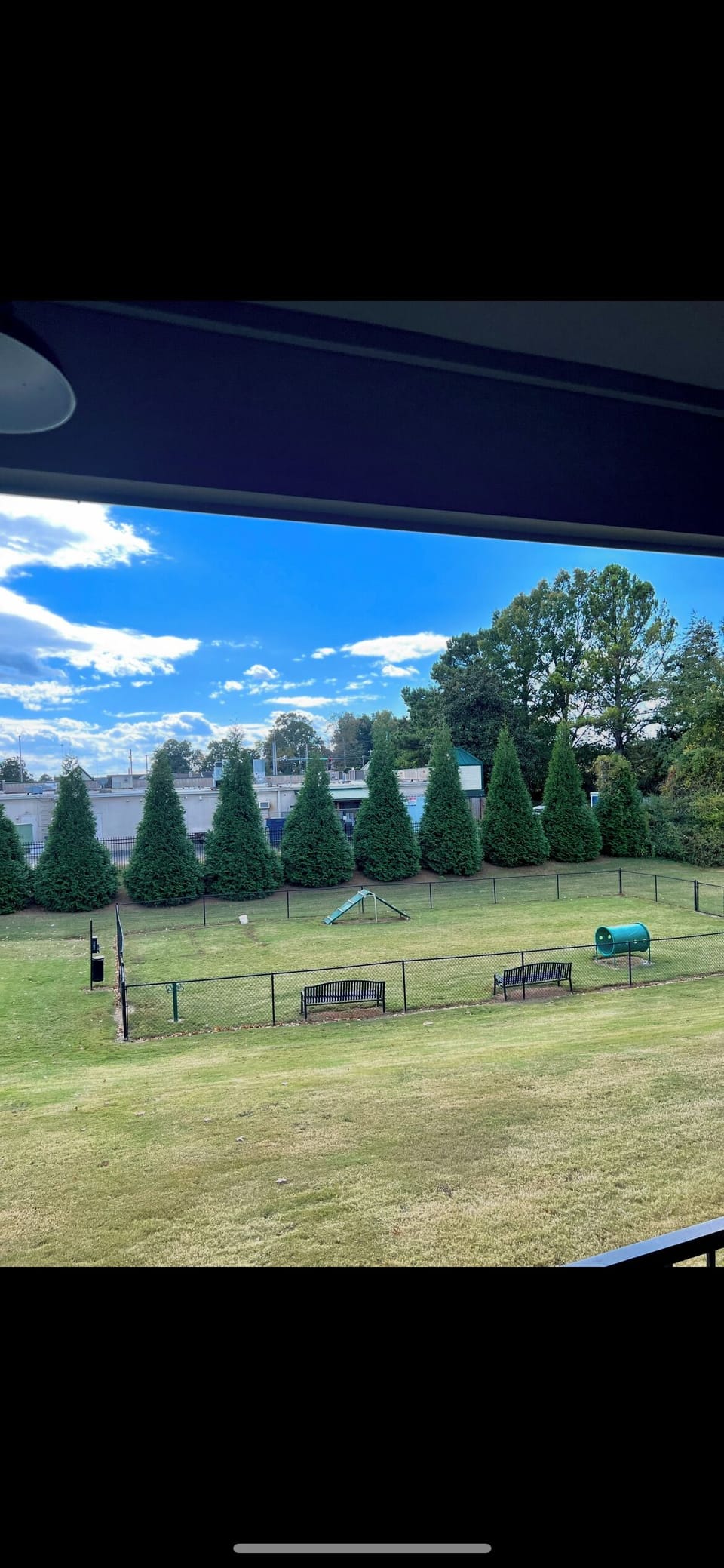 Dog park