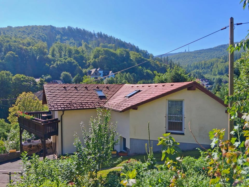 Immediate Surroundings [summer] (<1 km)