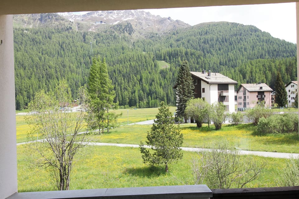 Mountains