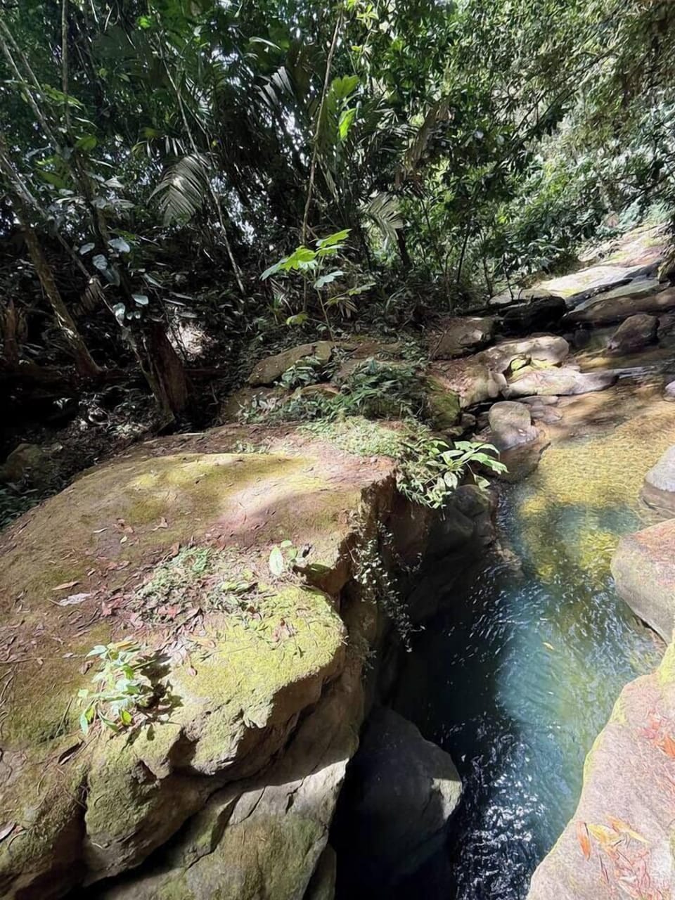 We offer waterfall tours. $120.00 per group. Includes 2 waterfalls, drinks, fresh fruits and coffee. (6)