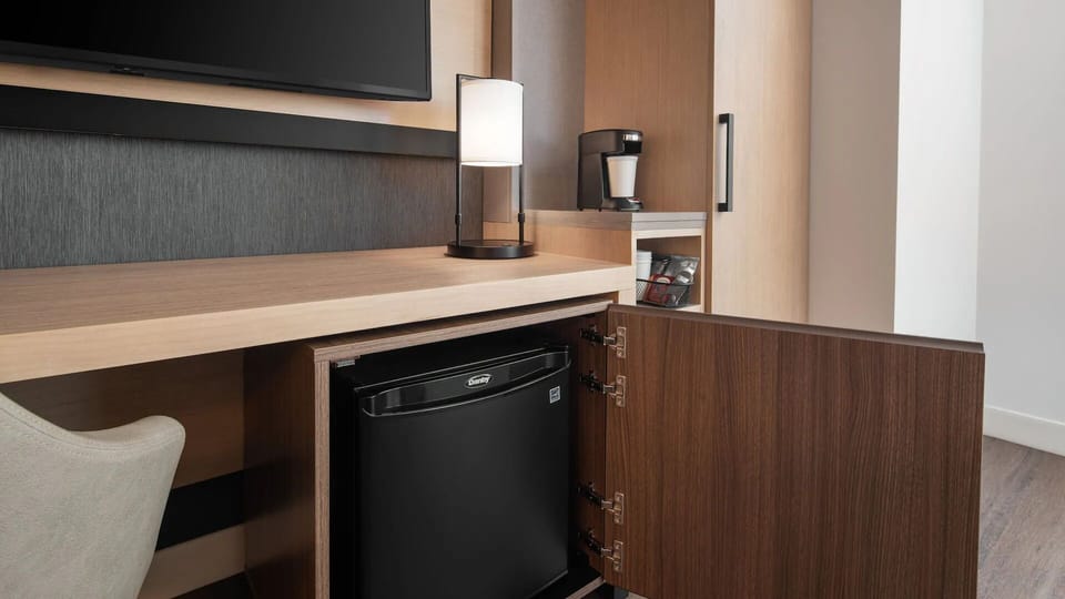Mini-fridge