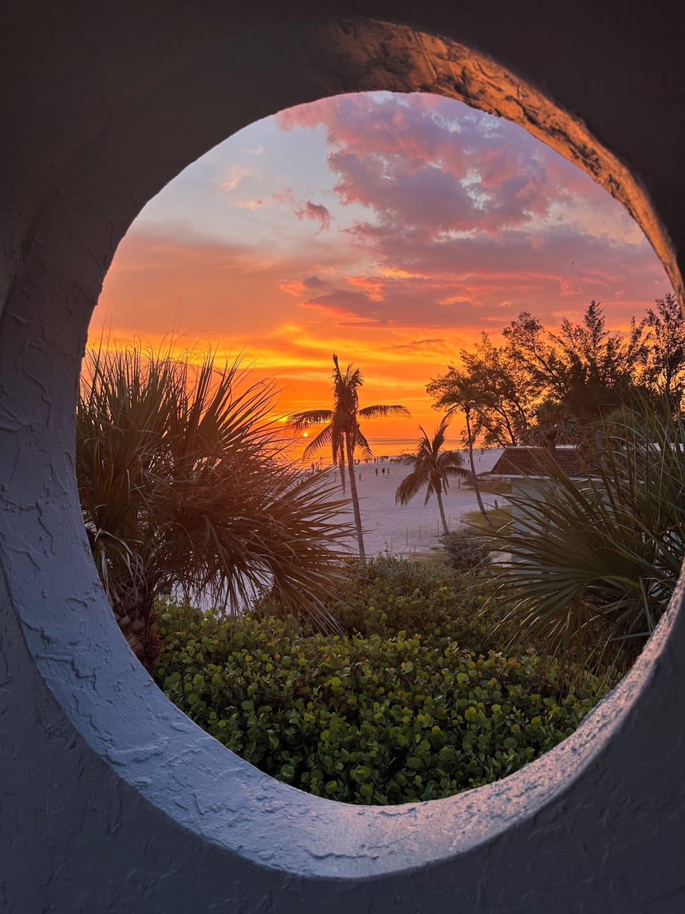 View from property