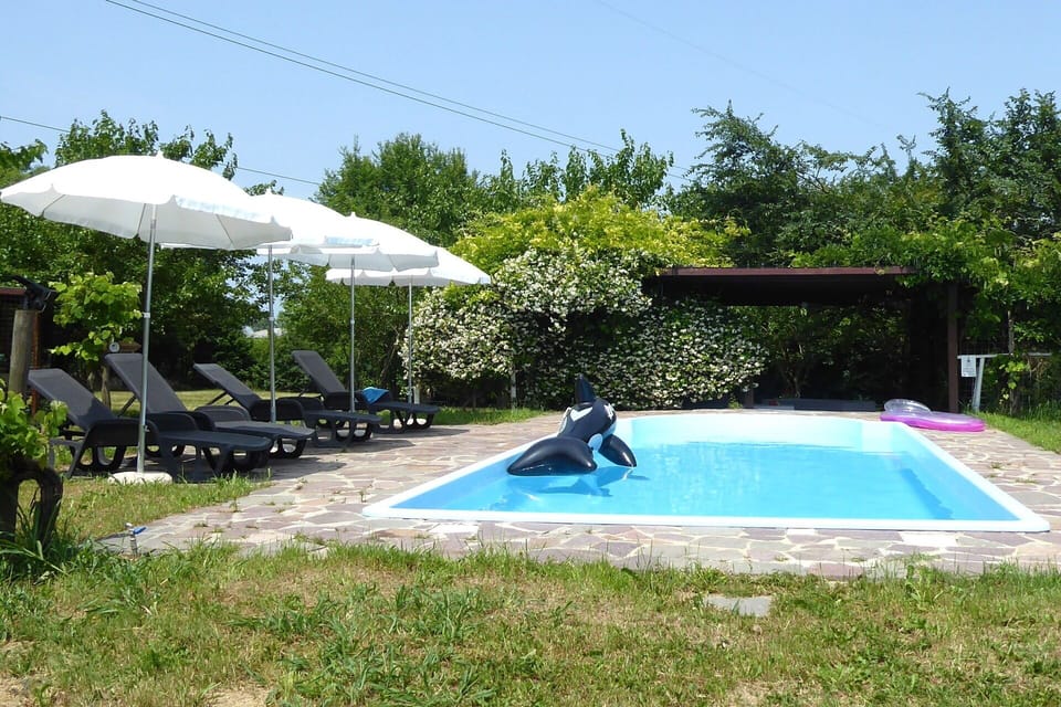 Autumn, Pool, Spring, Summer