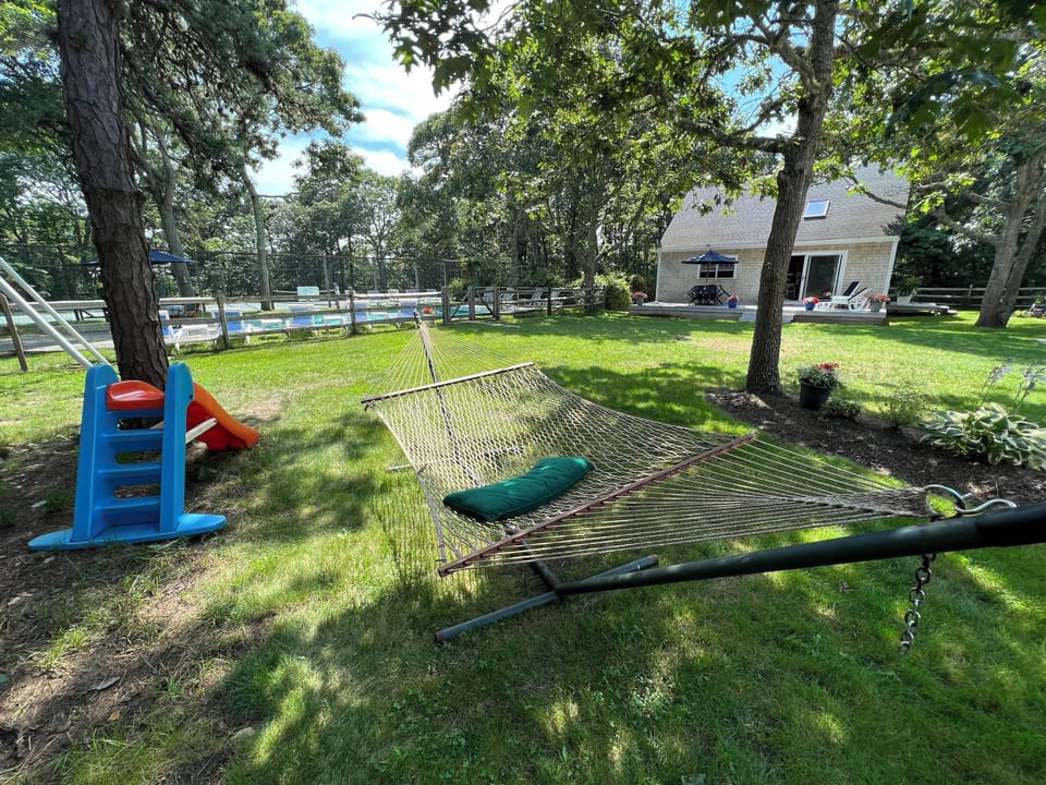 View of the back yard with the guest house