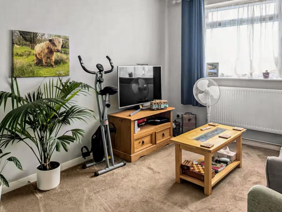 Living room with smart TV and leafy plants