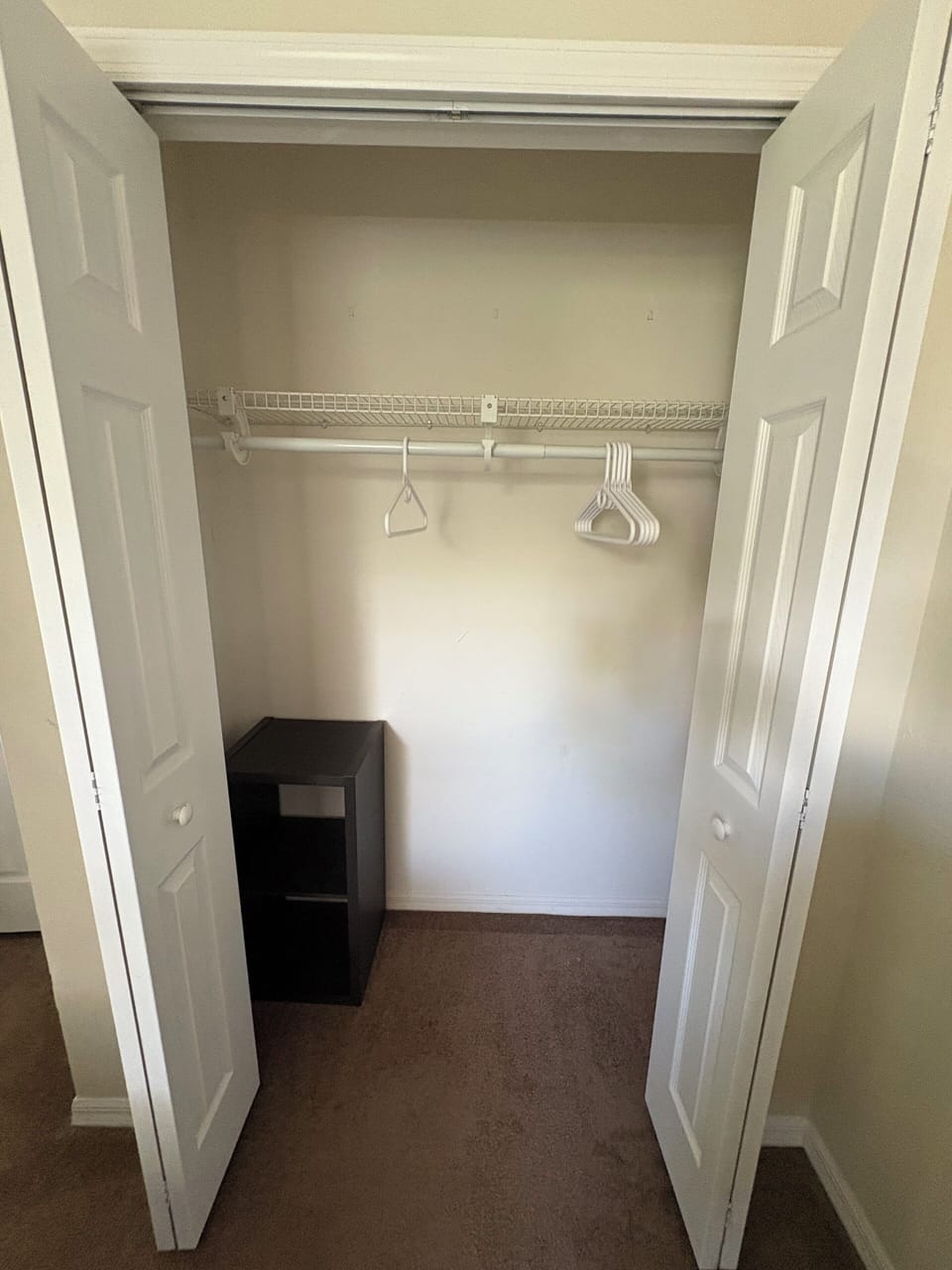 Guest bedroom closet