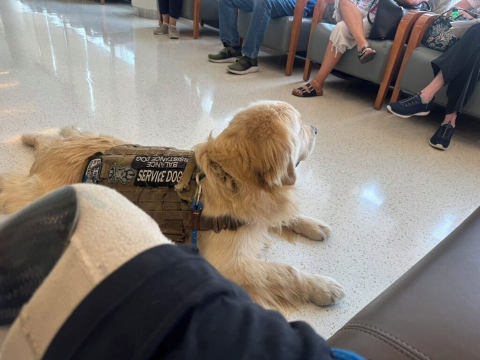 Pet-friendly
