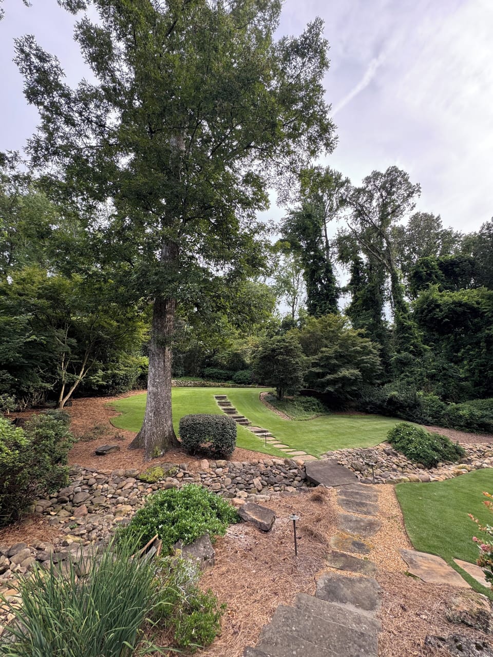 Spacious backyard
