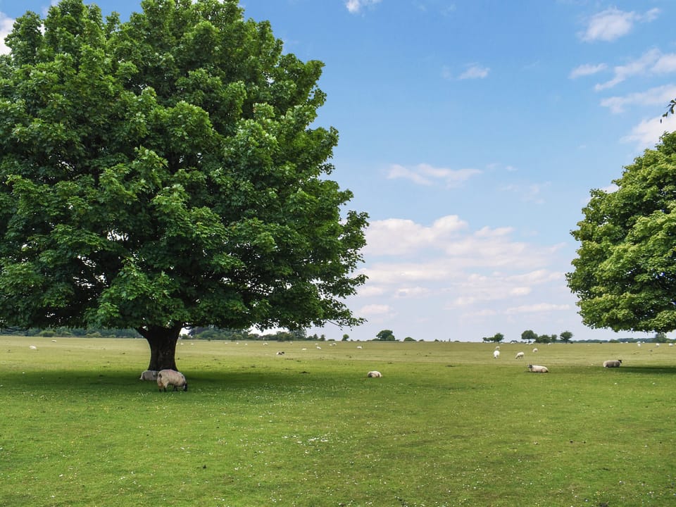 Surrounding area | Glenview Cottage, Horrabridge, near Tavistock