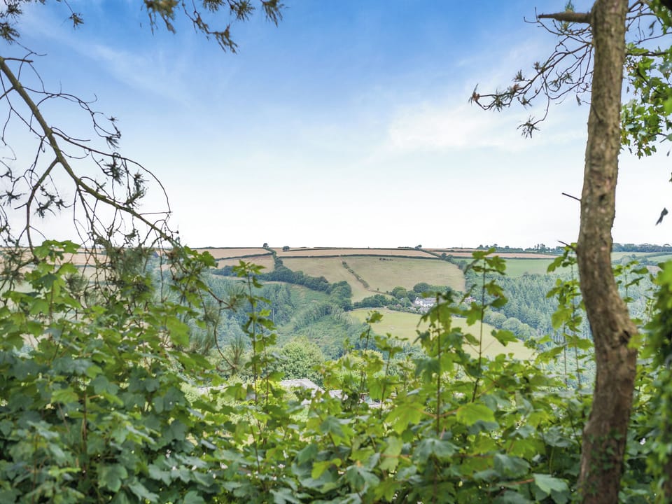 View | 240 Norton Park, Dartmouth