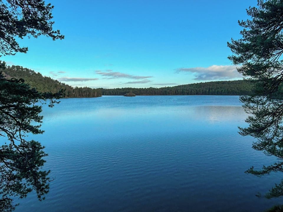 Surrounding area | Lodge 58, Aviemore