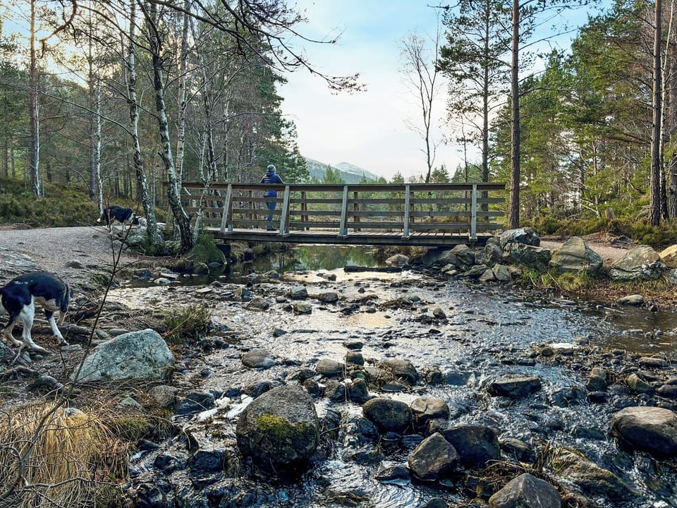 Surrounding area | Lodge 58, Aviemore
