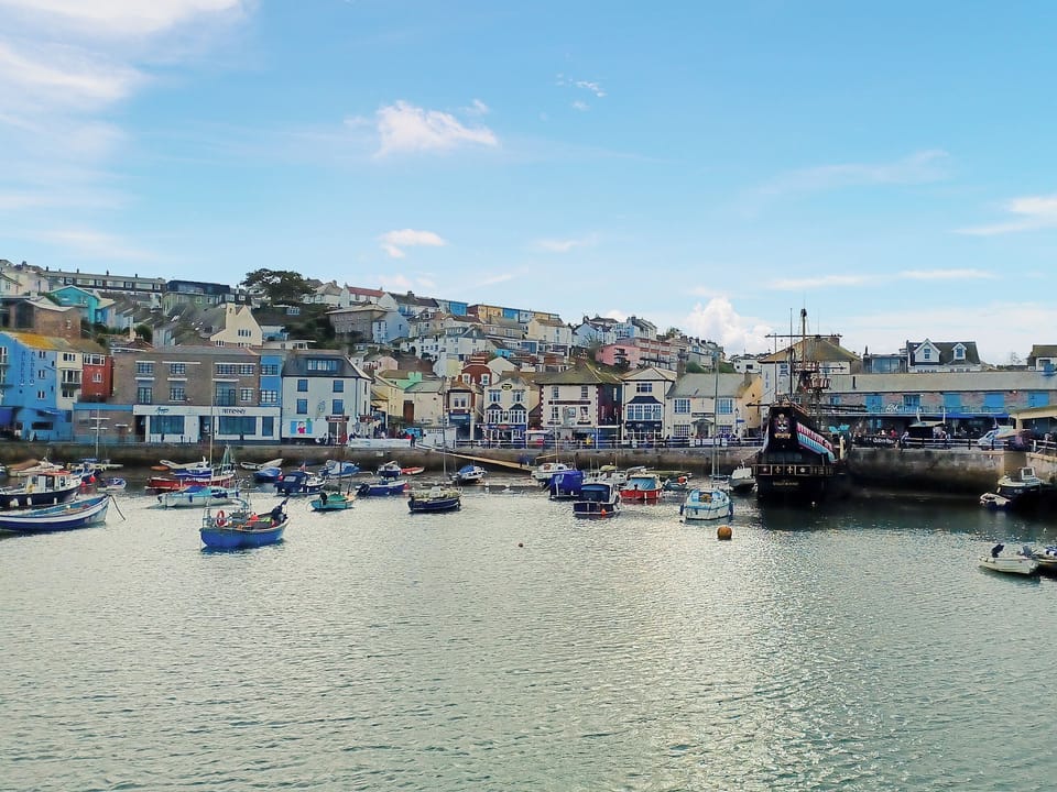 Surrounding area | Rockhopper Cottage, Brixham
