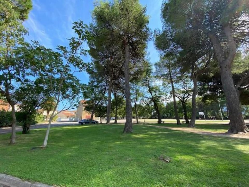 Stretch out on wide lawns under tall, shady trees.