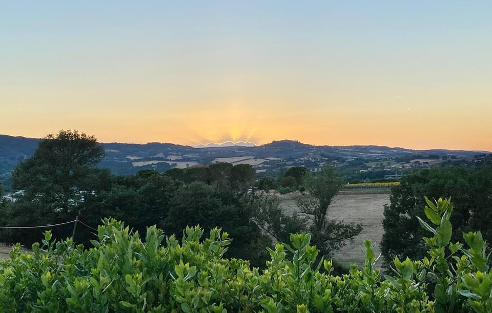 view-from-room