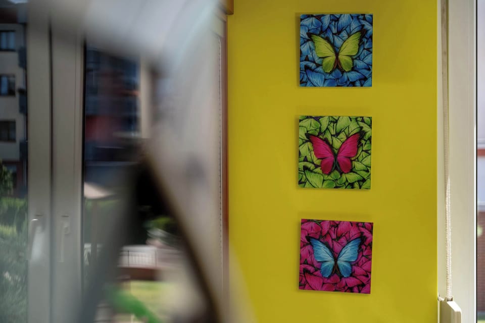 Colourful butterfly wall decorations add joy and a unique character to the interior.