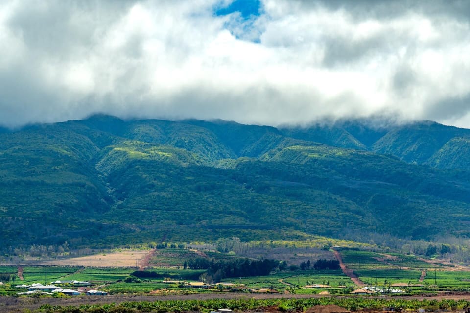 Take in sweeping views of lush West Maui mountains layered in mist and sunlight, a peaceful backdrop to your island escape. HKH-520