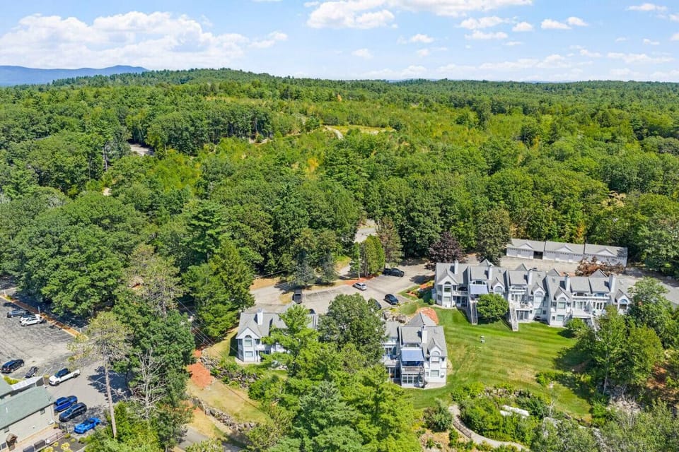 Aerial view showcasing the property’s natural setting