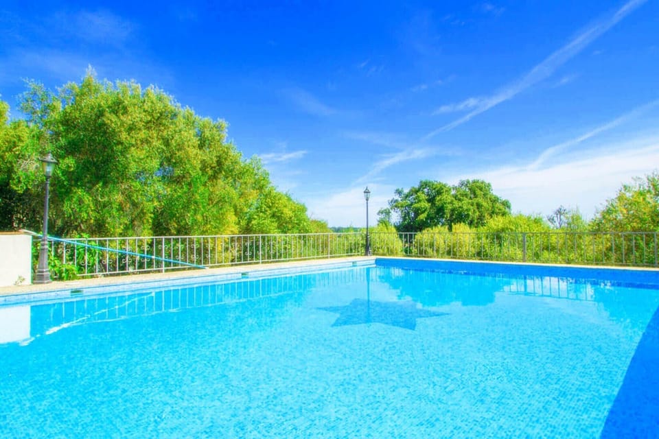 Holiday Home Swimming Pool