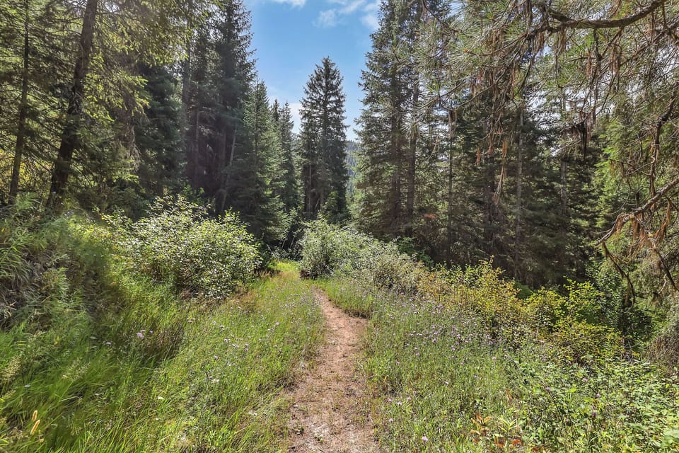 One of various trails throughout the area