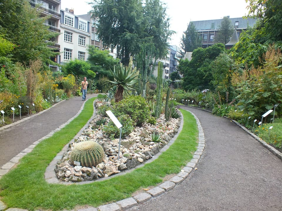 Stroll along lush garden paths for a peaceful morning reset.