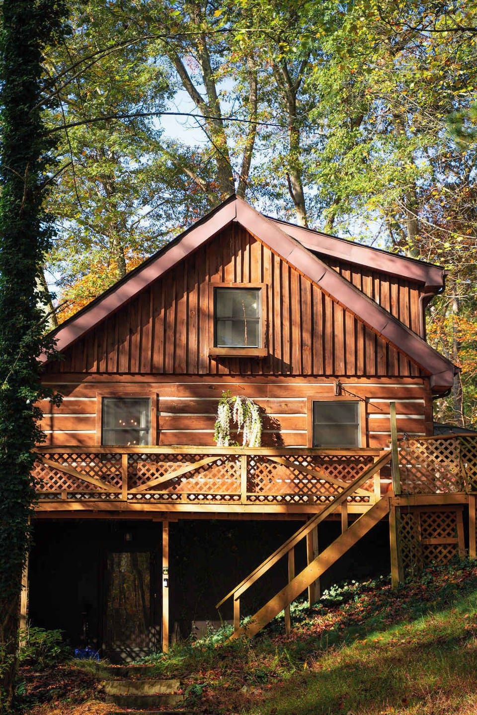 Exterior Retreat: Embrace nature from the inviting deck of this charming timber cabin!