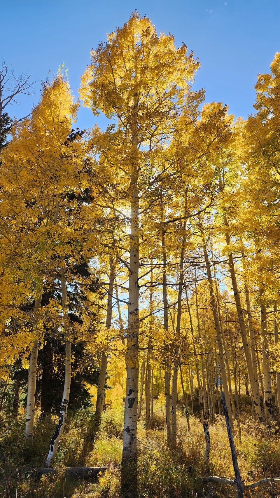 Fall hiking in the San Juan Mountains