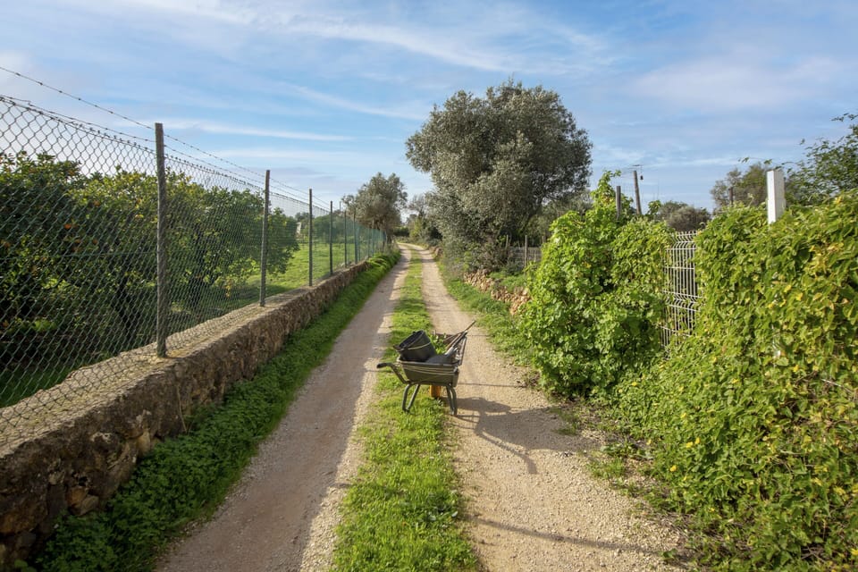 road access