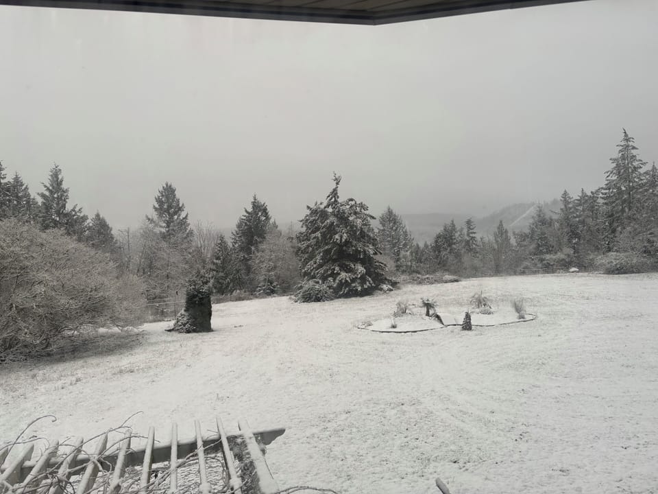 View from property