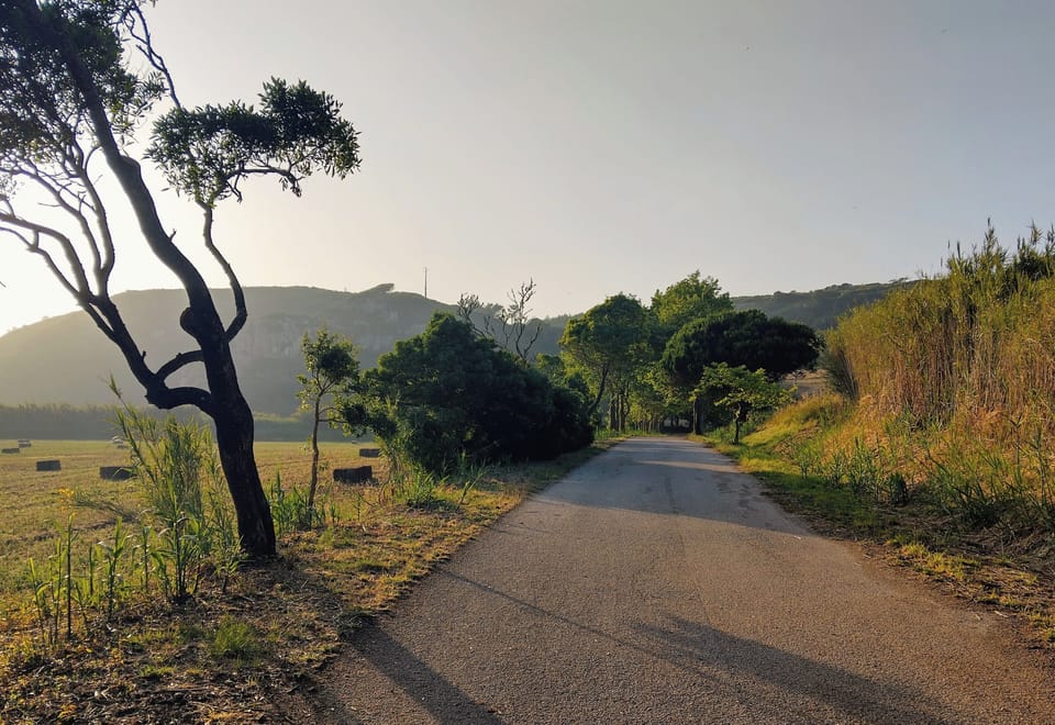 Walk or cycle to the beaches