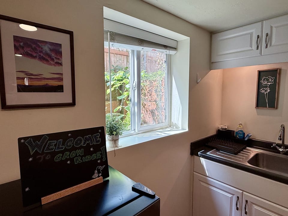 Daylight basement windows with greenery