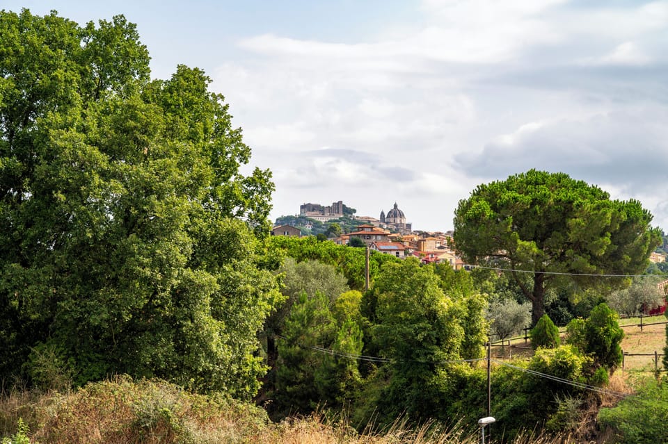 Miscellaneous