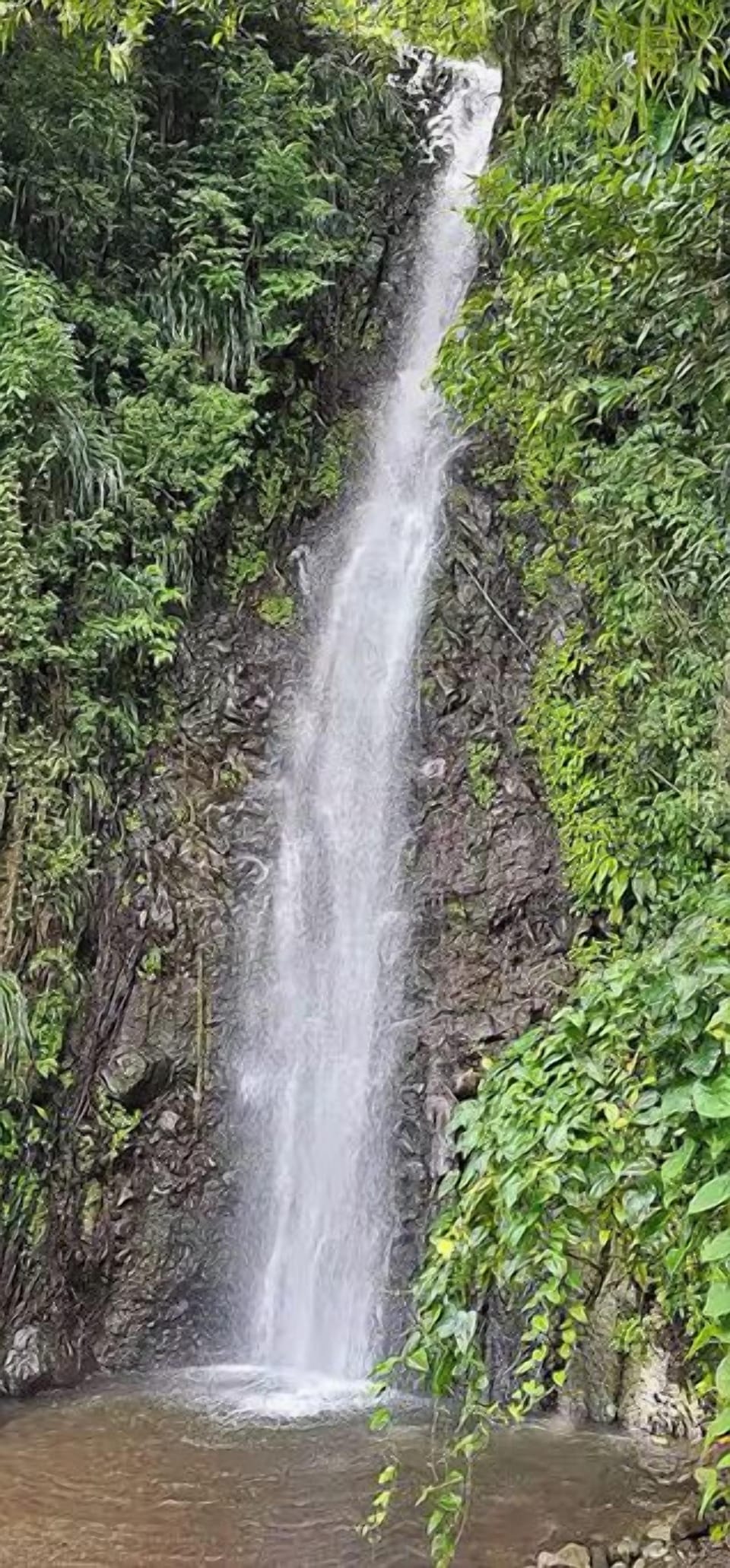 Attraction: Dark View Falls - one of St. Vincent's natural gems.