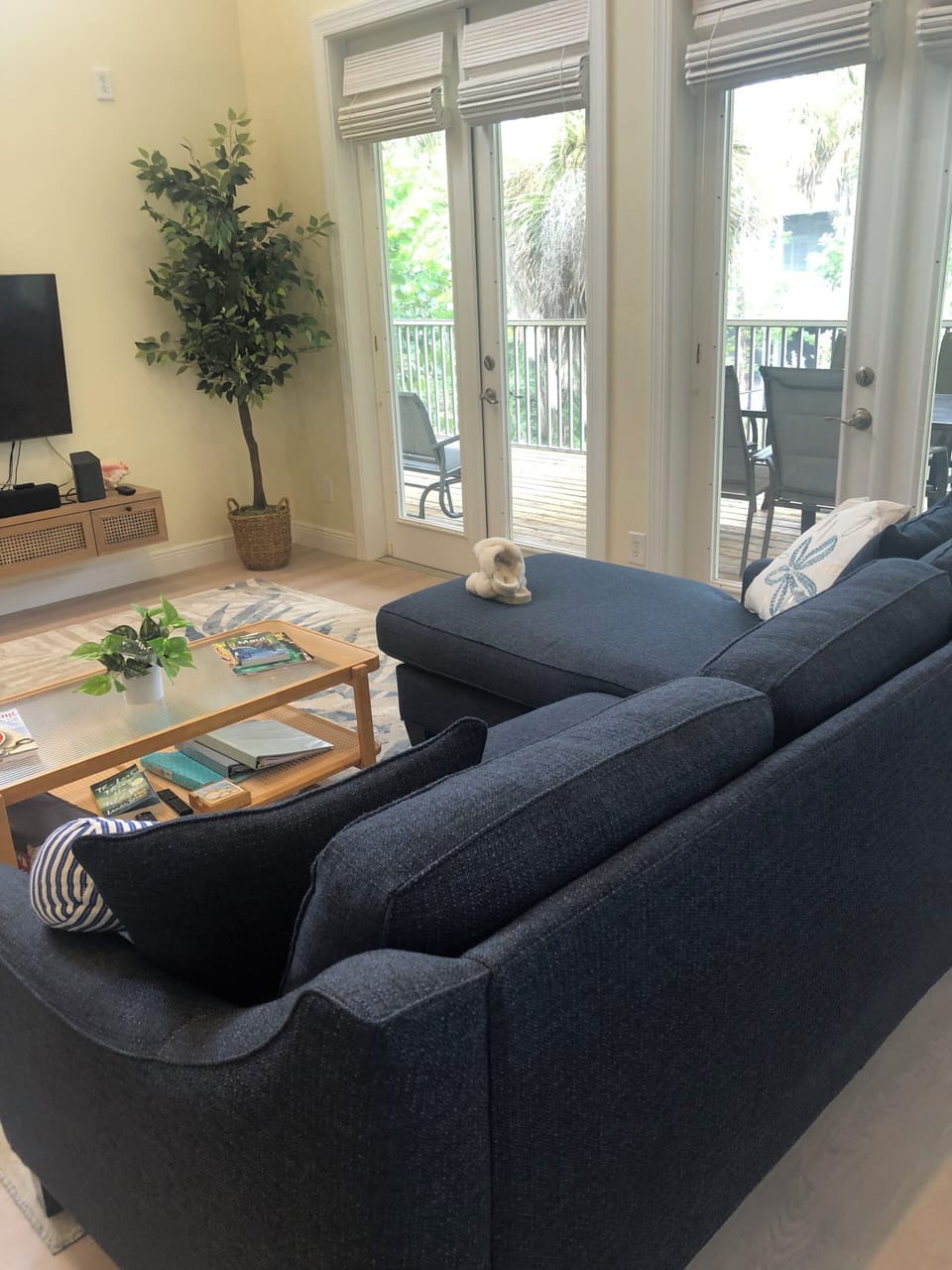   Queen Sofa Bed