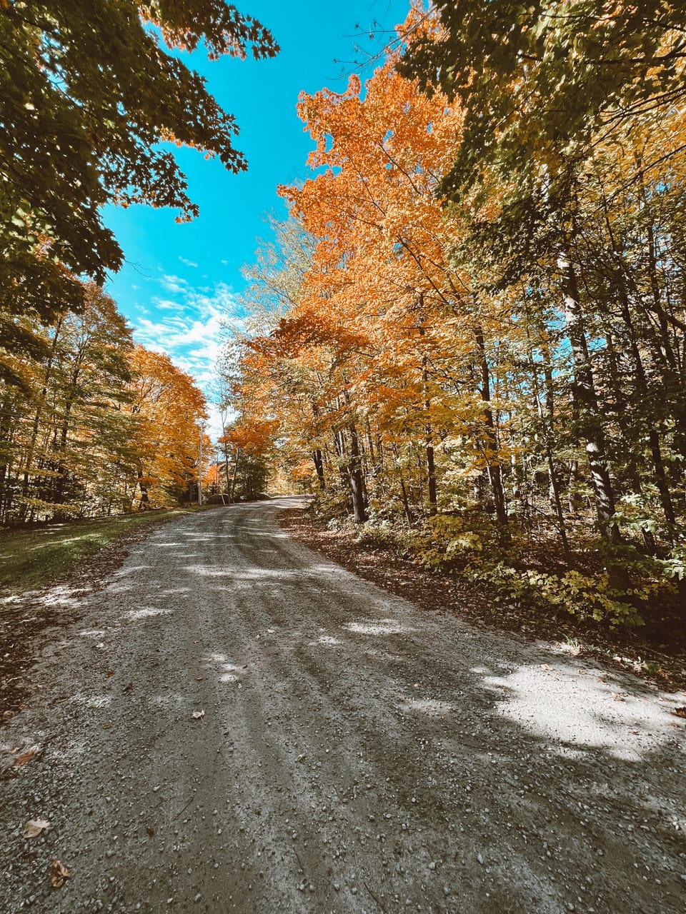 Fall at Whitestone Lake