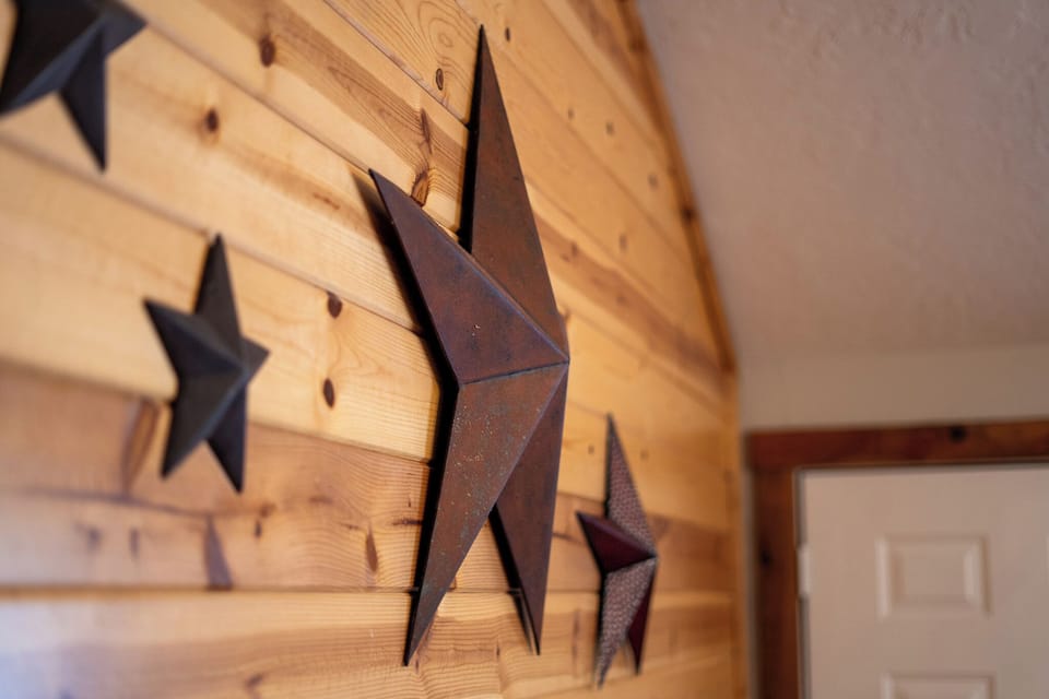 Texas pride decorations