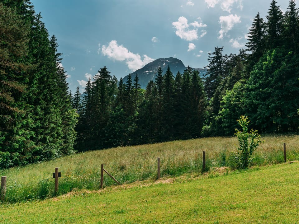 View from Holiday Home [summer]