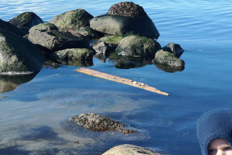 Water view